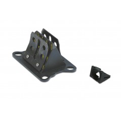MALOSSI Caja láminas carbono MHR 27 4235.C0 60982