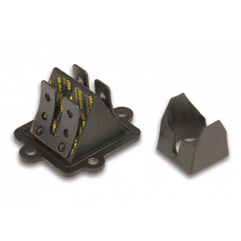 MALOSSI Caja láminas carbono MHR 27 7731.C0 60979