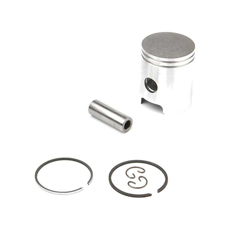 Piston for cylinder (06160539)