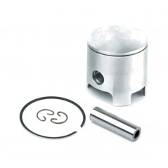 Piston for cylinder (06081548)