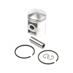 Piston for cylinder (060601384)