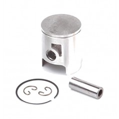 Piston for cylinder (060231476)
