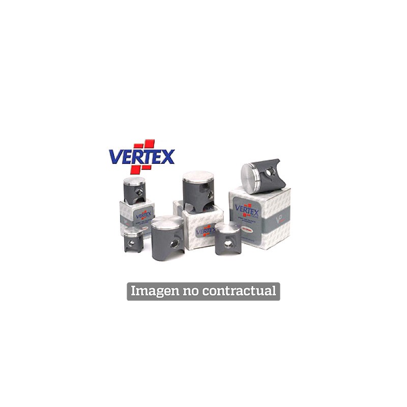 Cast iron engine piston diameter 47.96 tolerance C