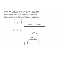 MALOSSI Pistón 059024 100 3411377.A0 60924