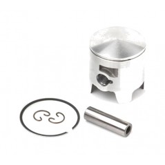 Piston for cylinder (06022046)