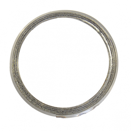 Exhaust gasket 29x36x5 Spirometallic P012000002239