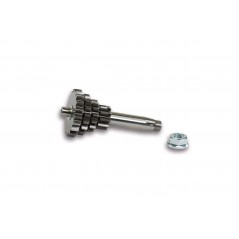 MALOSSI Kit de motor completo y tubo escape Especial Cup 4916676 69851