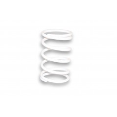 Reinforced clutch contrast spring White 29 7047.W0