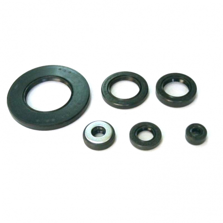 TOURMAX Engine Oil Seal Kit 634399