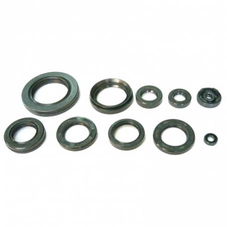 TOURMAX Engine Oil Seal Kit 634650