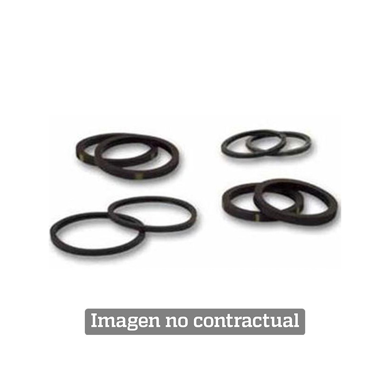 Kit piston seals for rear brake caliper