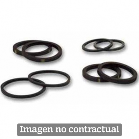 Kit piston seals for rear brake caliper