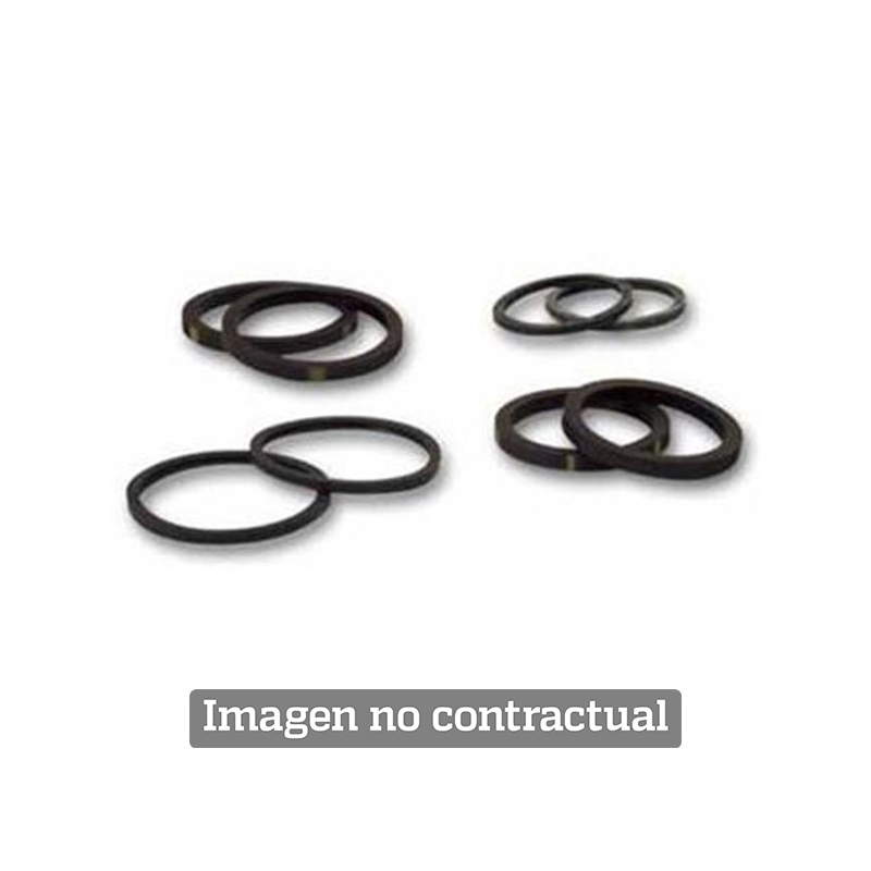 4 piston brake caliper seals