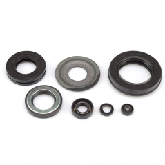TOURMAX Engine Oil Seal Kit 631754