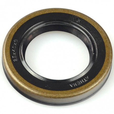 Crankshaft oil seal 20X37X7 / 38X58X11 P1300 / 148