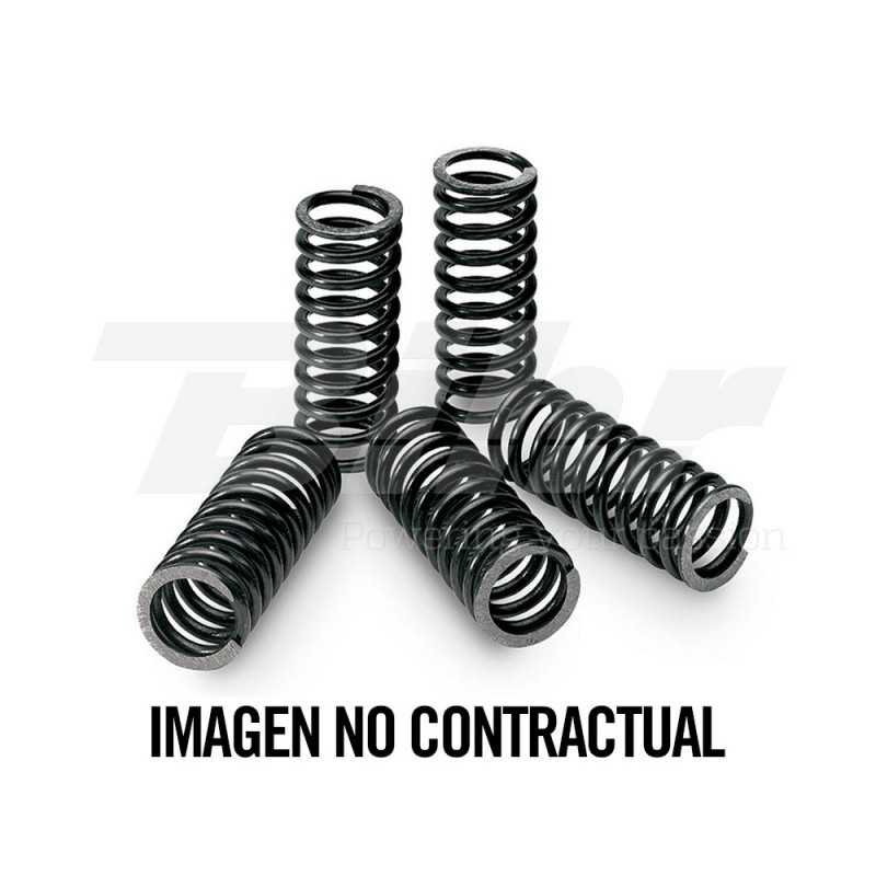 TECNIUM Kit de muelles embrague 18514