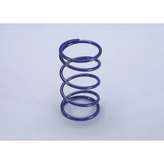 COUNTER SPRING, POLINI
