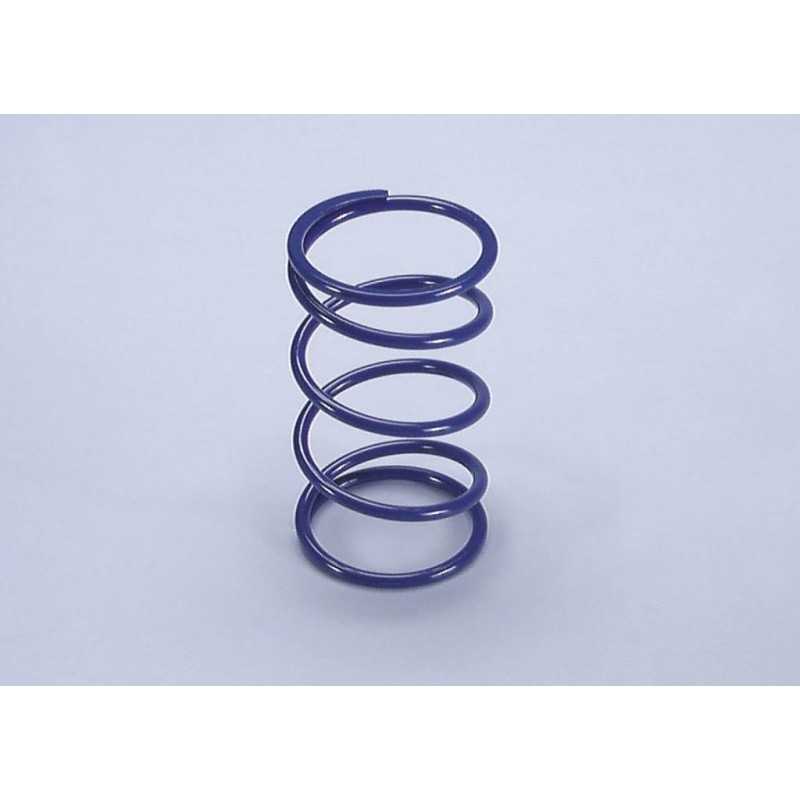 COUNTER SPRING, POLINI