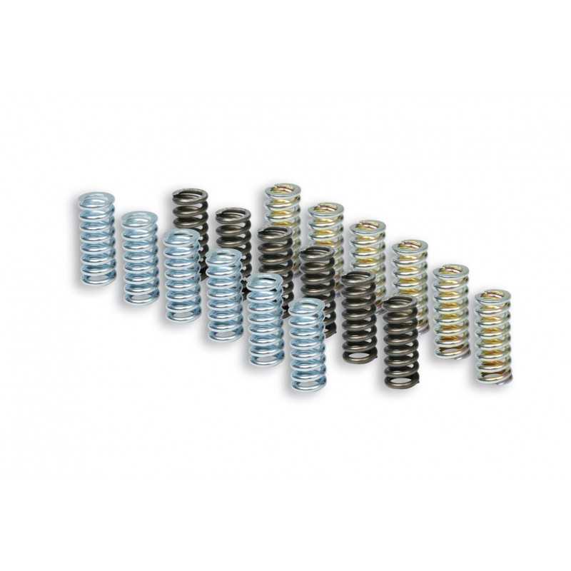 Clutch spring kit (9u) MHR OEM 2915398