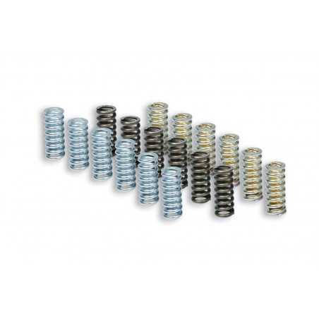 Clutch spring kit (9u) MHR OEM 2915398