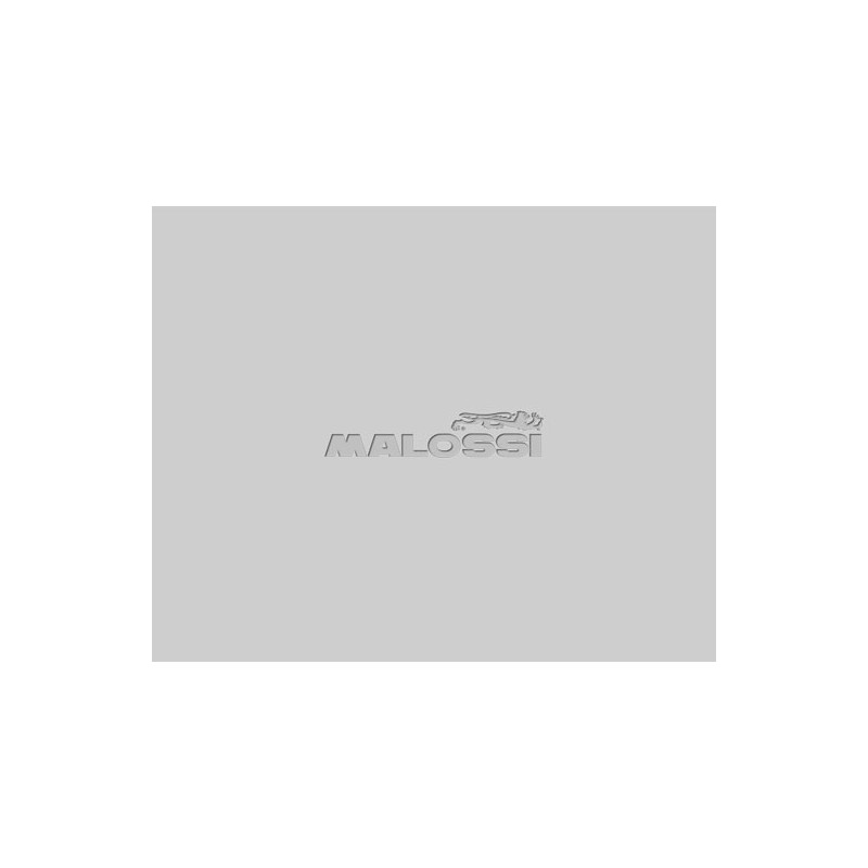 MALOSSI Kit de muelles embrague (9u) MHR OEM FLY/DELTA CLUTCH Verde/Blue/Rojo 29 9605S 60965