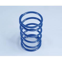 COUNTER SPRING, POLINI