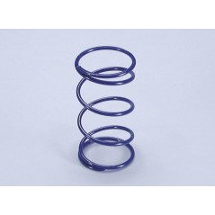 COUNTER SPRING, POLINI