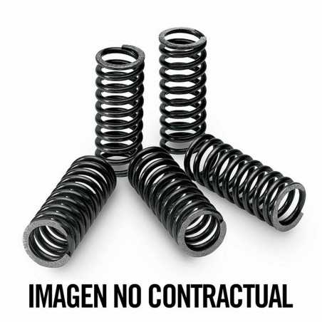 tecnium clutch spring kit - 6 springs of 19mm diameter and 43mm height