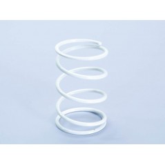 COUNTER SPRING, POLINI