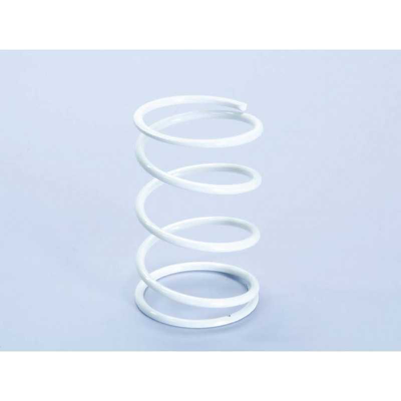 COUNTER SPRING, POLINI