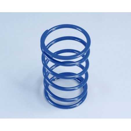 COUNTER SPRING, POLINI