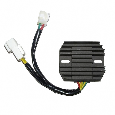 regulator prostownik