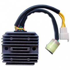 DZE Regulador corriente electrica 14568