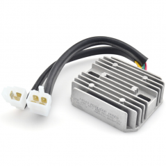 DZE Regulador corriente electrica 14549