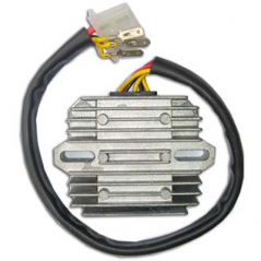 DZE Regulador corriente electrica 14560