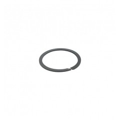 Seat for back cushion spring