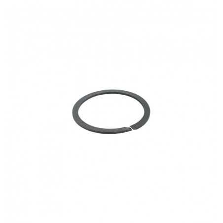 Seat for back cushion spring