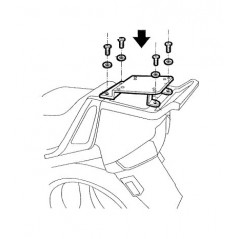 TRUNK SUPPORTS, ANCHORS, SETTINGS