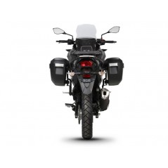 LATERAL SADDLEBAGS SUPPORTS, ANCHORS, SETTINGS