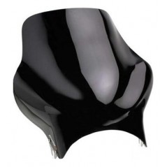 Windscreen windshield screen top