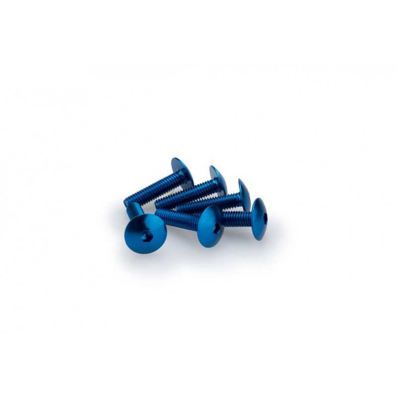 PUIG BLISTER PACK OF 6 SCREWS IN ALUMINUM CONVEX HEAD M6 X 25MM 0689