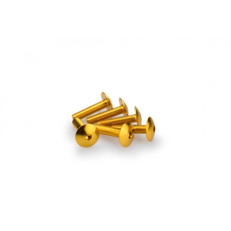 PUIG BLISTER PACK OF 6 SCREWS IN ALUMINUM CONVEX HEAD M6 X 25MM 0689