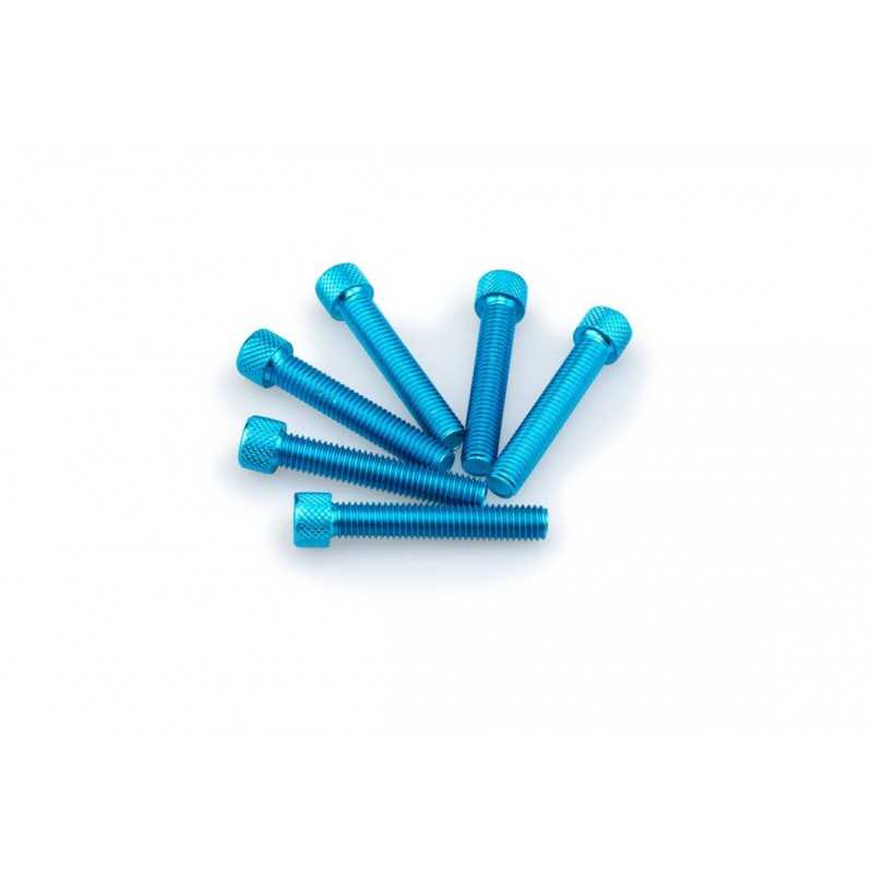 PUIG Pack de 6 tornillos aluminio M8 x 45mm la marca 0516