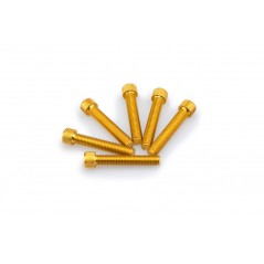 PUIG BLISTER PACK OF 6 SCREWS IN ALUMINUM M8 X 45MM 0516