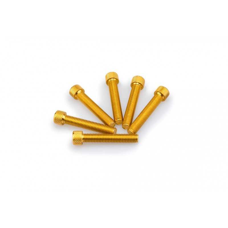 PUIG Pack de 6 tornillos aluminio M8 x 45mm la marca 0516
