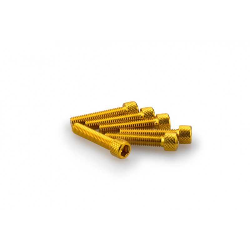 PUIG BLISTER PACK OF 6 SCREWS IN ALUMINUM M6 X 30MM 0258