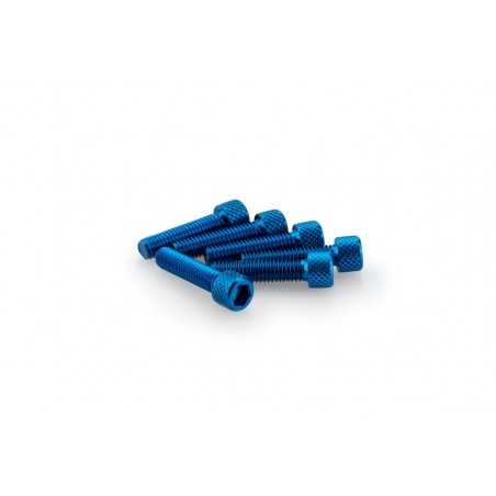 PUIG Pack de 6 Tornillos Aluminio M6 x 25mm - Disponible en Varios Colores Marca 0544