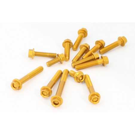 EVOTECH Engine screw kit KVM-0217