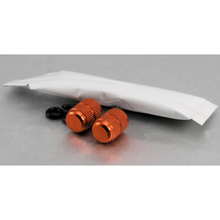 PRO-BOLT Tapones de válvula aluminio (x2) en plata para motocicletas 42047VAR