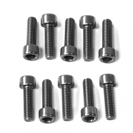 PRO-BOLT Kit bolts allen cylindrical aluminum head M5 x 30mm (10 u) 42364VAR